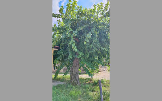 Istrien | Tiny Bungalow